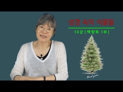 18강 - &rsquo;성경 속의 식물들&rsquo;에 감추어진 의미들 [백향목 1부] / 남은순의 요벨 TV