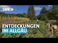Treffpunkt Sommereise - Entdeckungen im Allgäu | SWR Treffpunkt