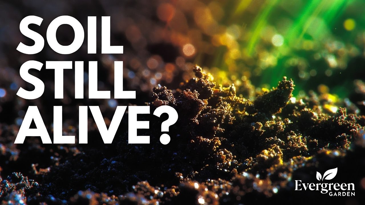 Microbial Time Capsule: How to Store Living Soil and Wake It Up Stronger in Spring