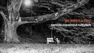 Video thumbnail of "Jan Spálený a ASPM - Mé múze (official audio)"