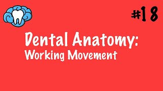 Dental Anatomy | Working Movement | INBDE