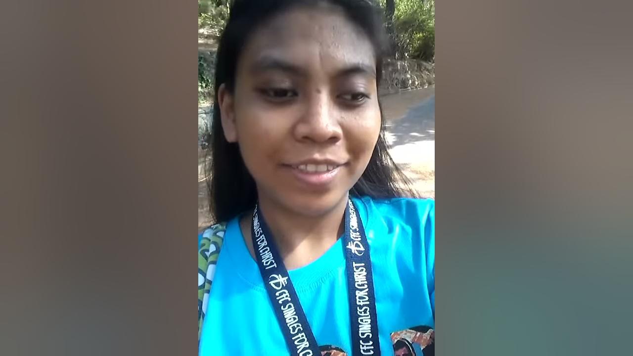 Task 3 turtle song Task 3 turtle song