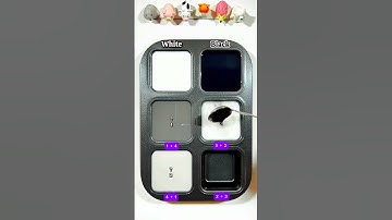 Color Guessing Challenge P9 White and Black get surprising colors #colormix #asrm #satisfying