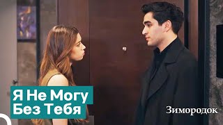 картинка: Ферит Не Может Быть Вдали От Сейран | Зимородок