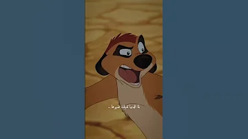 ادي ظهرك للدنيا تيمون تيمون وبومبا كرتون انمي نصيحة حكم حكمة اليوم حكمة 