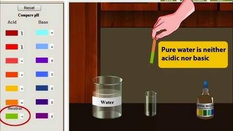HP Learning Lab: Collaborative Assessment Platform for Practical Skills by Amrita University