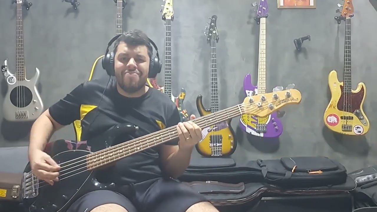 Vicinity Of Obscenity - System Of A Down (Bass Cover)