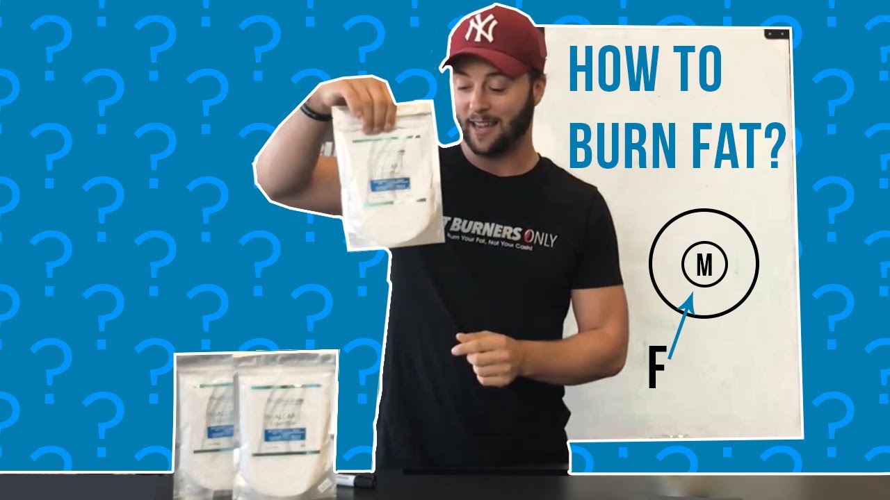 How to Burn Fat not Muscle A Breakdown on ALCAR 🤓💪 YouTube