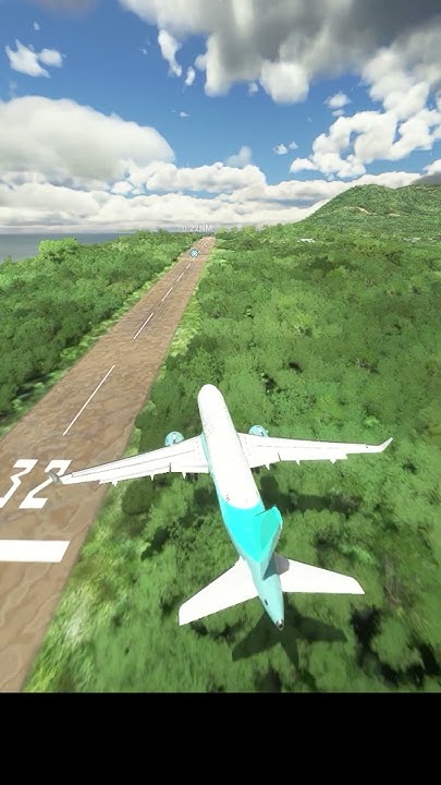 Airbus A320 Failed To Land At Boeing 747 Average Landing At Hachijojima airbus-a320-failed-to-land-at-boeing-747-average-landing-at-hachijojima