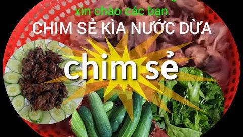 CHIM SẺ KHÌA NƯỚC DỪA