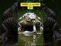 "अजगर ने मगरमच्छ को घेरा! 😱🐍🐊"