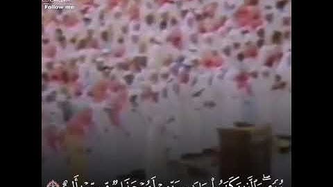 ما تيسر من سورة الجاثية بصوت الشيخ علي جابر رحمه الله