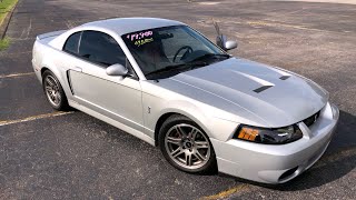 Test Drive 2003 Mustang Cobra Low Miles $19,900 Sold Fast, Maple Motors