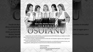 Surorile Osoianu - Frunzuliță ca cicoarea