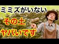 【みんな知らない】土壌改良するならミミズを使ってください　　　　　【カーメン君】【園芸】【ガーデニング】【初心者】