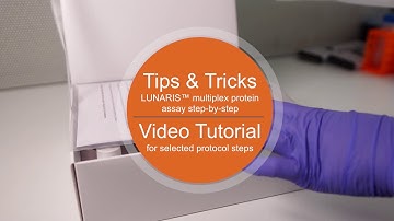 LUNARIS™ Multiplex Protein Immunoassay step by step