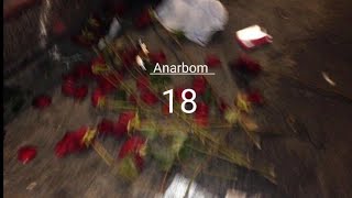 18 - Anarbom (Lyrics)