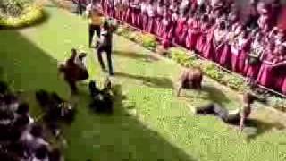 SHADY SQUADD AT HERBERT MORRISON (USAIN DANCE)