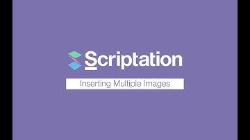 How to Insert Multiple Images at Once | Scriptation Tutorial
