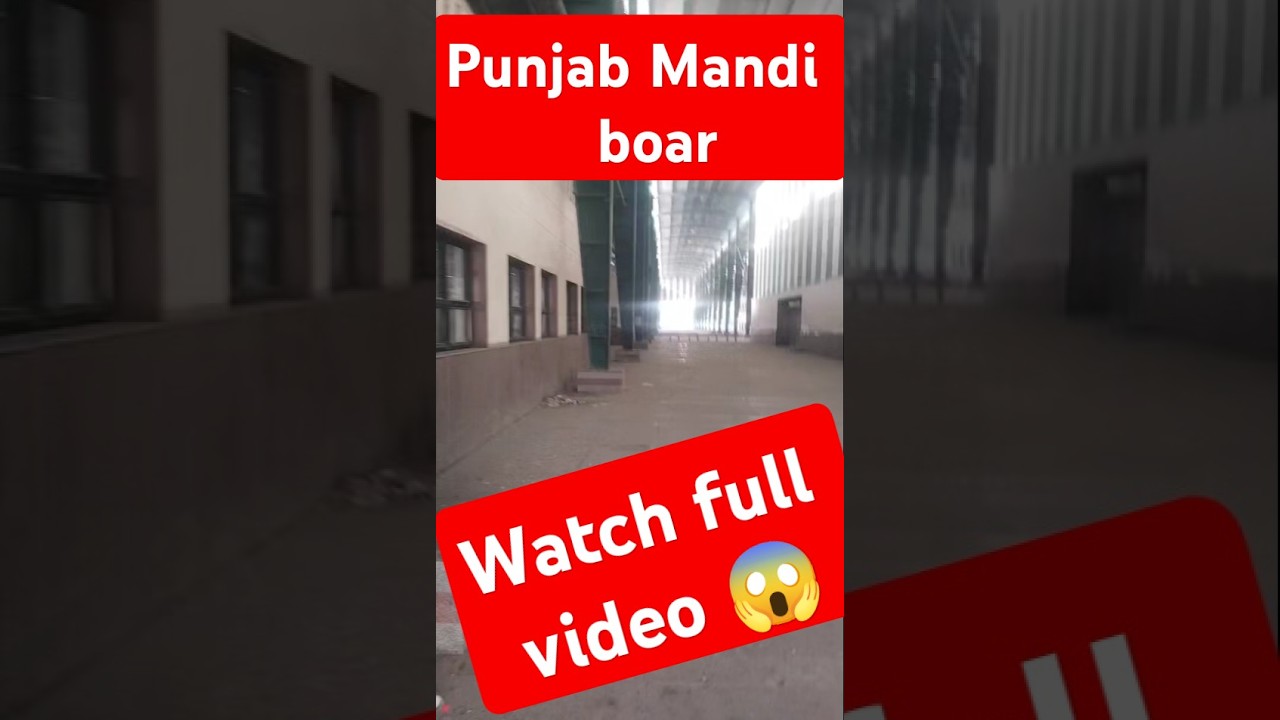 Punjab Mandi board place | 