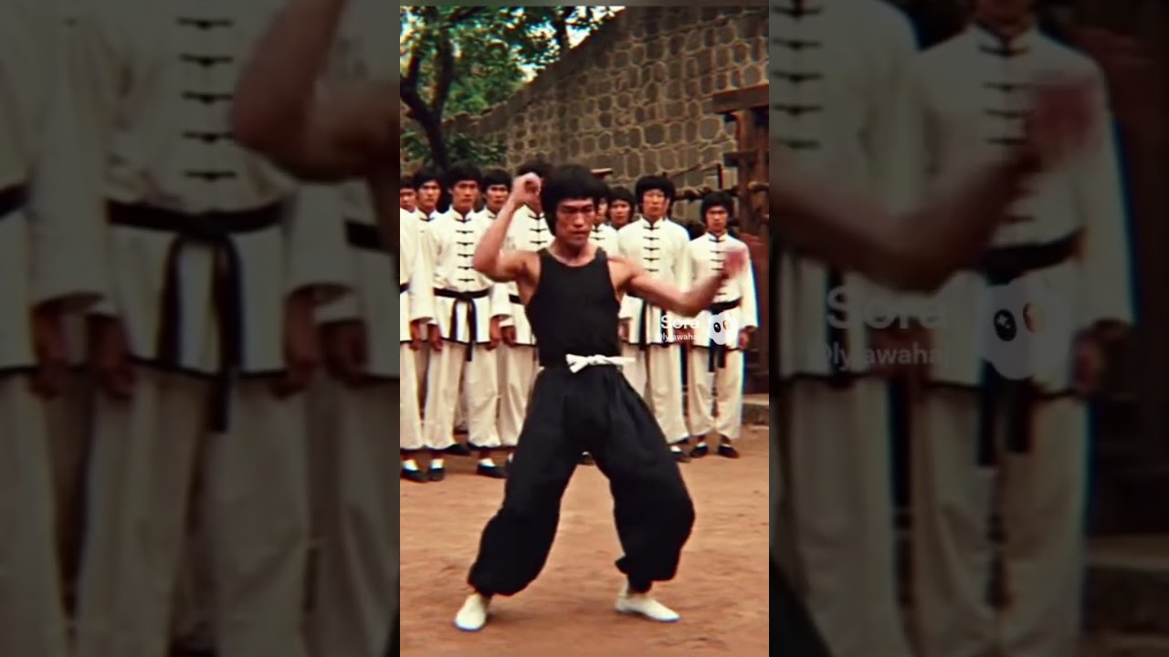 Дисциплина Брюса Ли в движении 