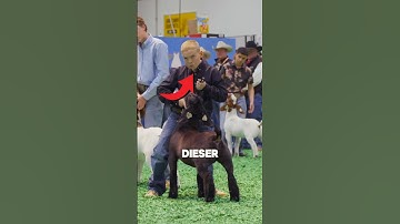 Why does he look deep into his soul? 💀 #shorts