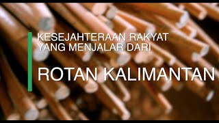 KESEJAHTERAAN RAKYAT MENJALAR DARI ROTAN KALIMANTAN