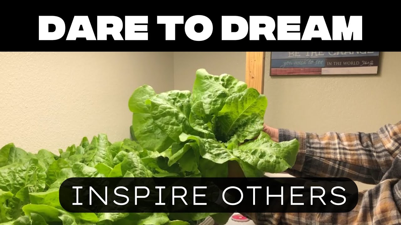 This Hydroponic Setup Made Me Never Buy Lettuce Again!