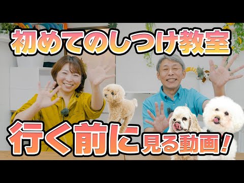 Dog Training] First training class - Watch this video before