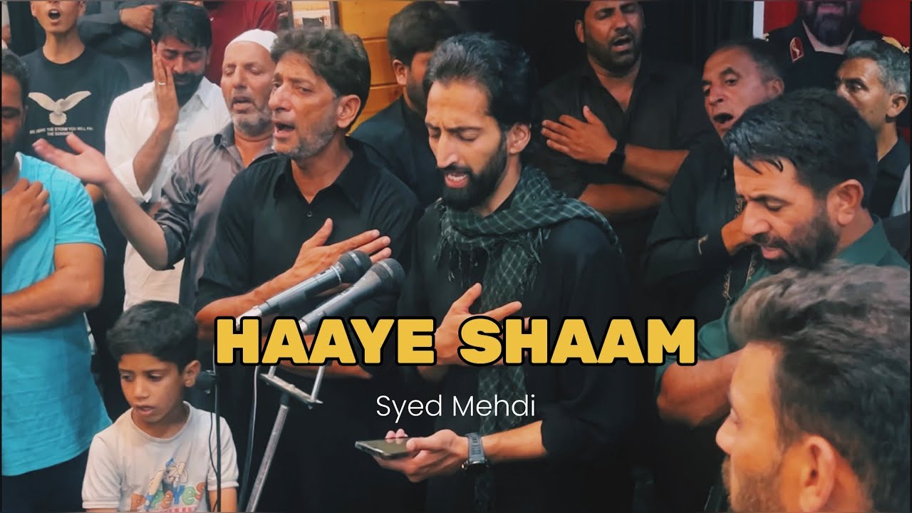 Haaye Shaam  - Nauha  2024 - 1446 - Syed Mehdi