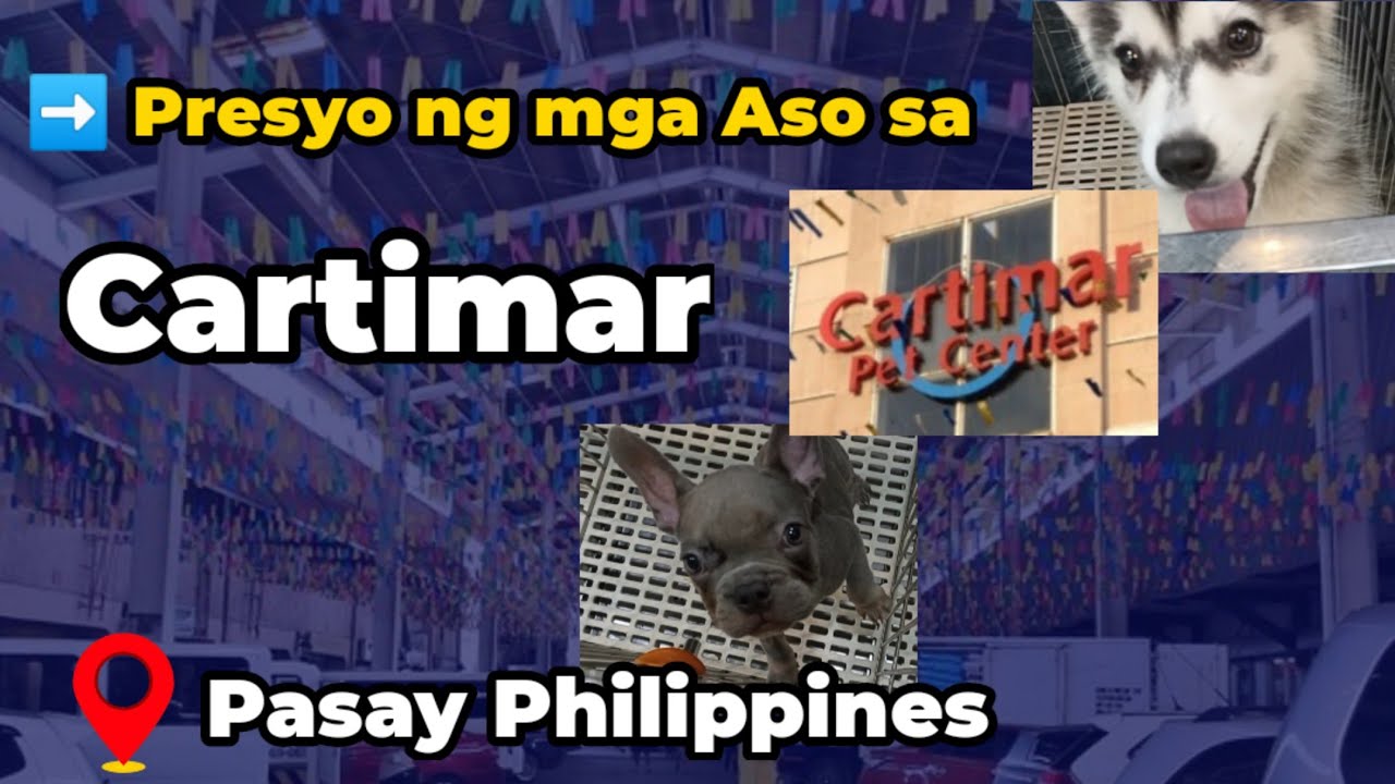 Mga Presyo ng Aso sa Cartimar | Cartimar Dog Price Update 