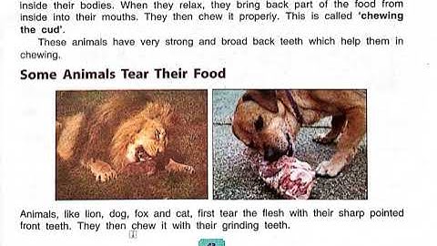 Class - 3 | Science | Chapter - 6(Feeding habits of animals) | Part -2