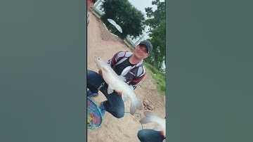 cần câu đài #cauca #caucagiaitri #hastag