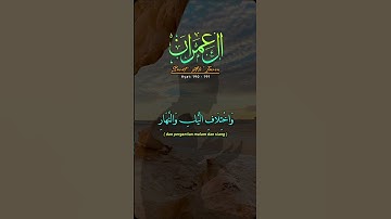 #قران_كريم #قرآن #قران #راحة_نفسية #تلاوة_هادئة #تلاوة_خاشعة #اكسبلور #لايك