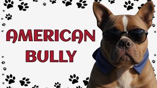 🐾 American Bully: The Affectionate Muscle with a Heart of Gold by Paws and Purrs No views 5 minutes, 50 seconds