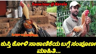 ಕುಸ್ತಿ ಕೋಳಿಗಳ ಸಾಕಾಣಿಕೆಯ ಬಗ್ಗೆ  ಸಂಪೂರ್ಣ ಮಾಹಿತಿ . Aseel chickens Farm tour kerala.