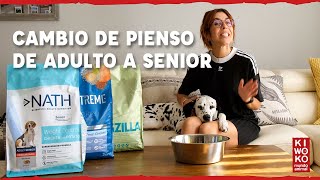 ¿Cuándo y por qué cambiar la dieta de tu perro adulto a senior? ✅