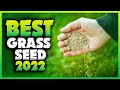 Top 5 Best Grass Seed For Overseeding You can Buy Right Now [2022]