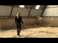 Mia Lykke Nielsen trains small problem pony. When Horses Choose. Mia Lykke Nielsen.