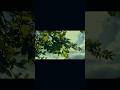 saurabh blogar 44 #daily #vlog #mimi #vlog #viral #shorts #new #video