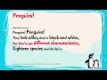 Penguins Words On Screen Preview Dothewaddle mp3