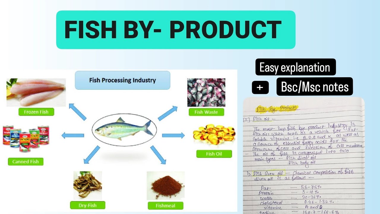 FISH BY PRODUCT 🐠🐟 #fisheries #mscnotes #bscnotes #biology #zoology ...