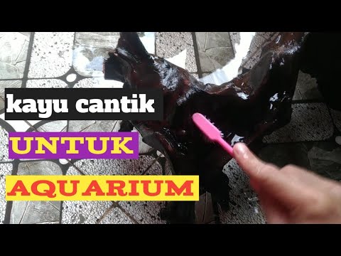  kayu  buat  hiasan aquarium  YouTube