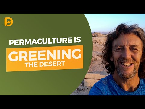Permaculture is Greening the Desert