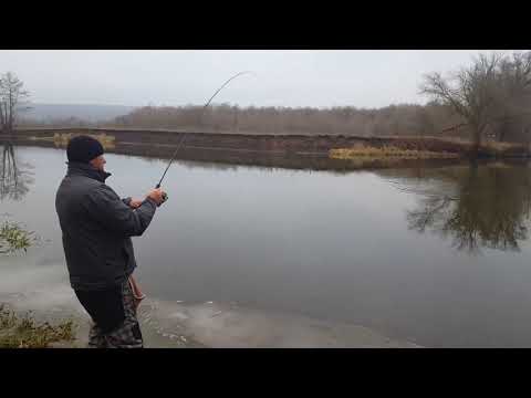 #blackbaits