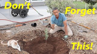 This ONE Thing Will KILL Your New Fruit Tree! How to Stop it