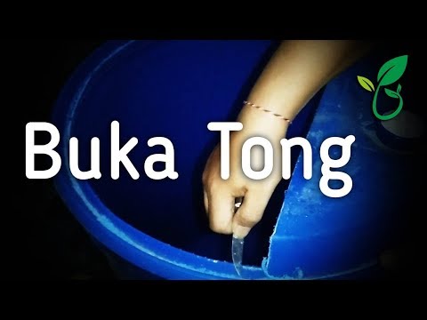 Cara Saya Membuka Memotong Tong Biru Drum Plastik 200 Liter