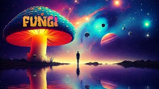 MindWalker - Mindsplit