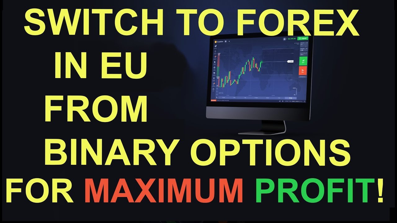 binary options review warrior forum