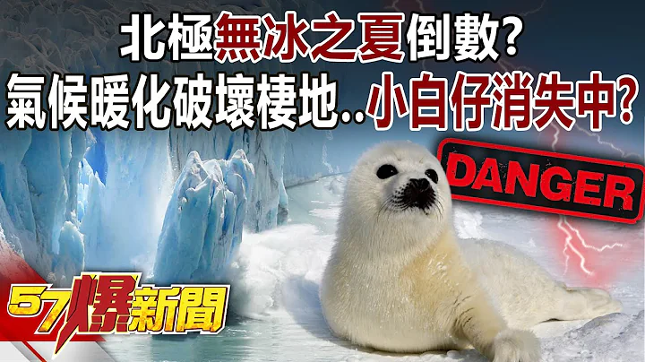 北极“无冰之夏”倒数？ 气候暖化破坏栖地…小白仔消失中？-徐俊相《57爆新闻》精选篇 网路独播版-1900-3 - 天天要闻